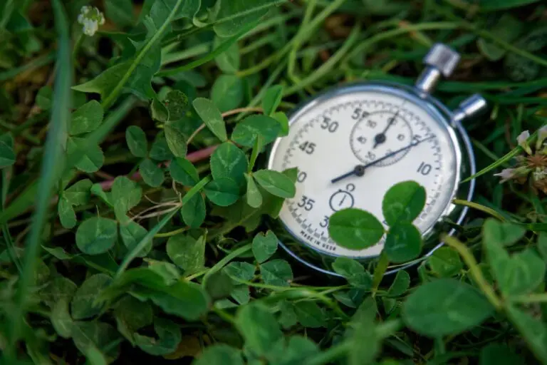Секундомер лежит в траве — символ биологических часов и теломер клеток